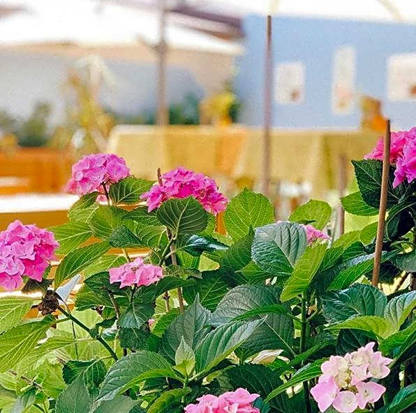 Hotel Bayrischer Hof