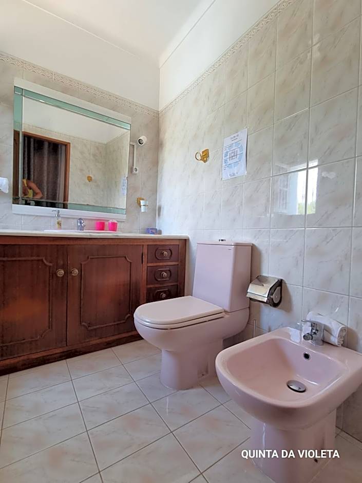 Villa Quinta da Violeta
