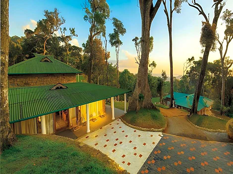 Neelakurunji Plantation Munnar