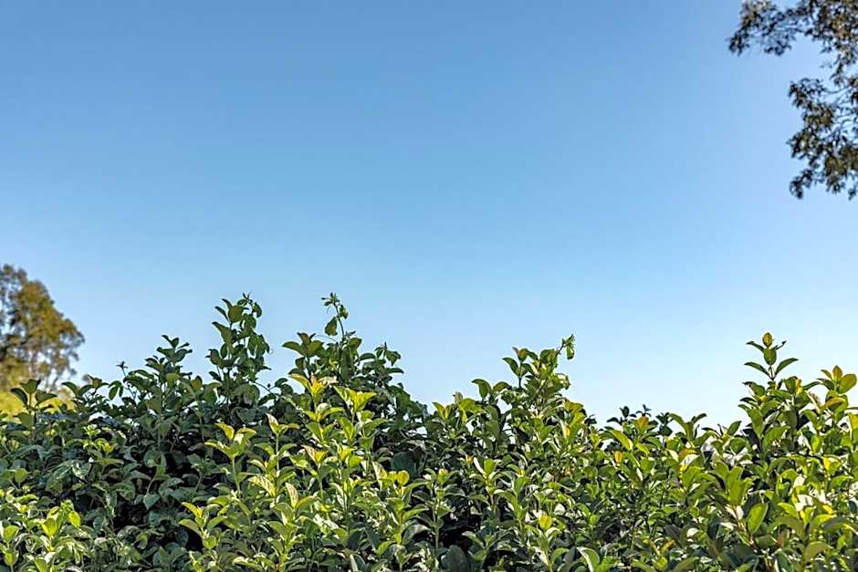 Mala Retreat, Shiraz Suite 5 Star Immaculate and Comfortable