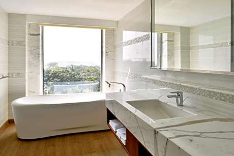 Suite, 1 Queen, Mountain view