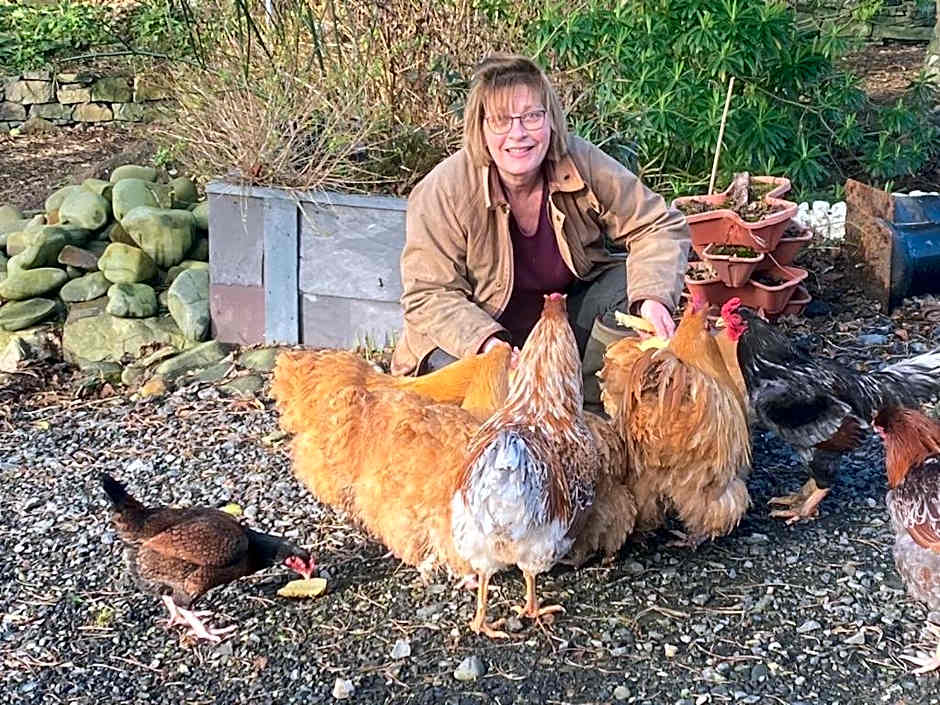 The Old Vicarage NI B&B