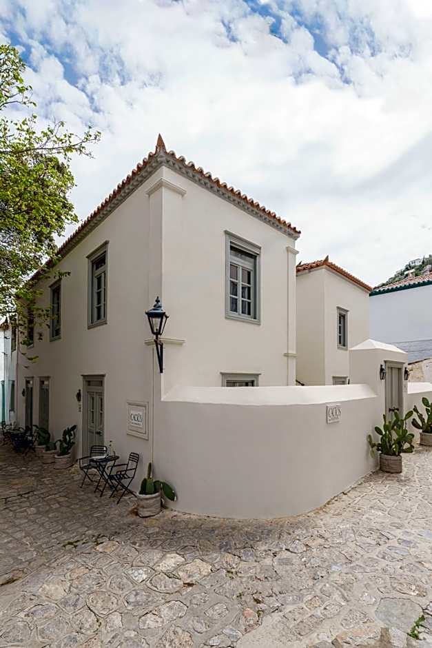 Cactus Hydra - Art Apartments