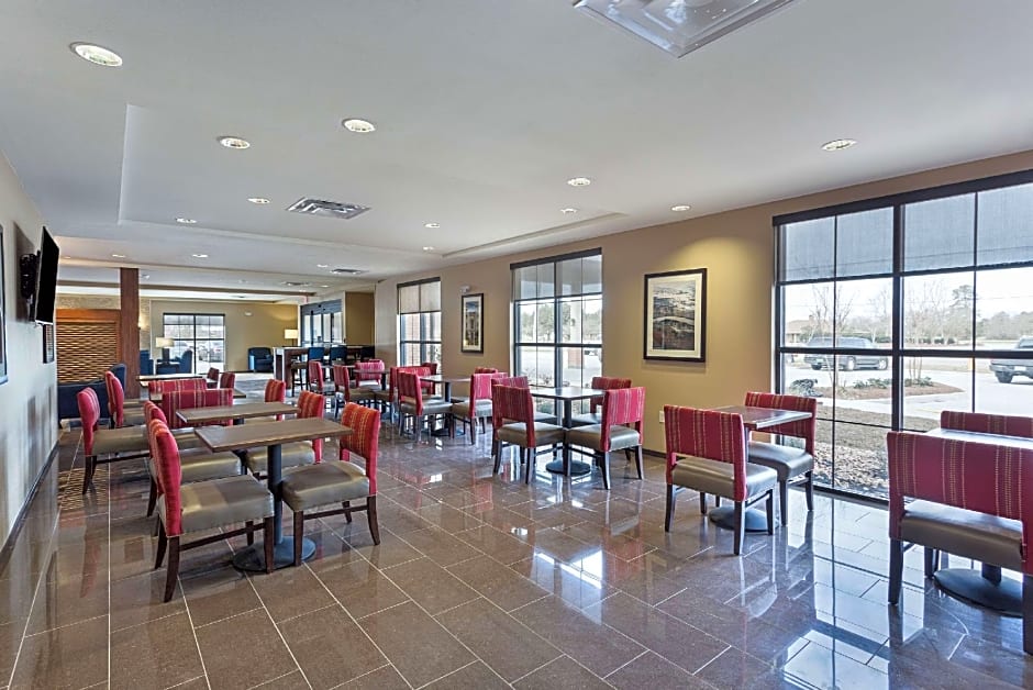 Comfort Inn & Suites Zachary