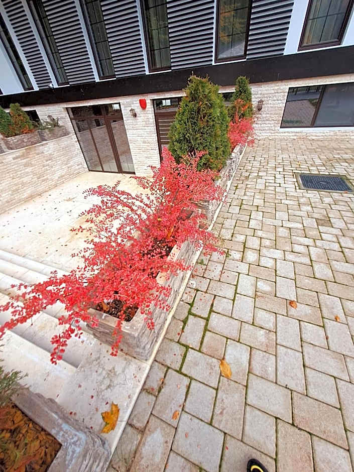 Piatra Pinului Ski & Spa