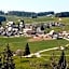 ZUR TRAUBE Schwarzwaldhotel & Restaurant am Titisee