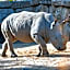 Hotel Selwo Lodge - Animal Park Tickets Included