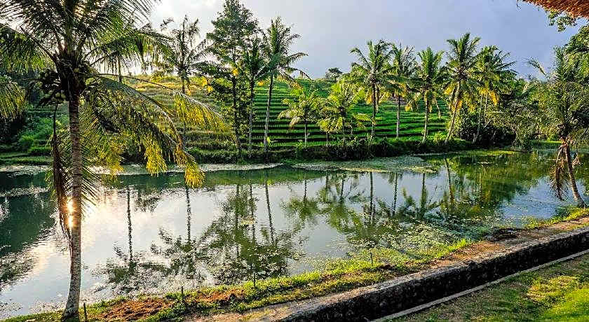 Alam Taman Villa