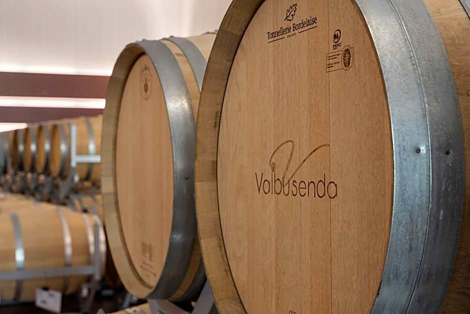 Valbusenda Hotel Bodega & Spa