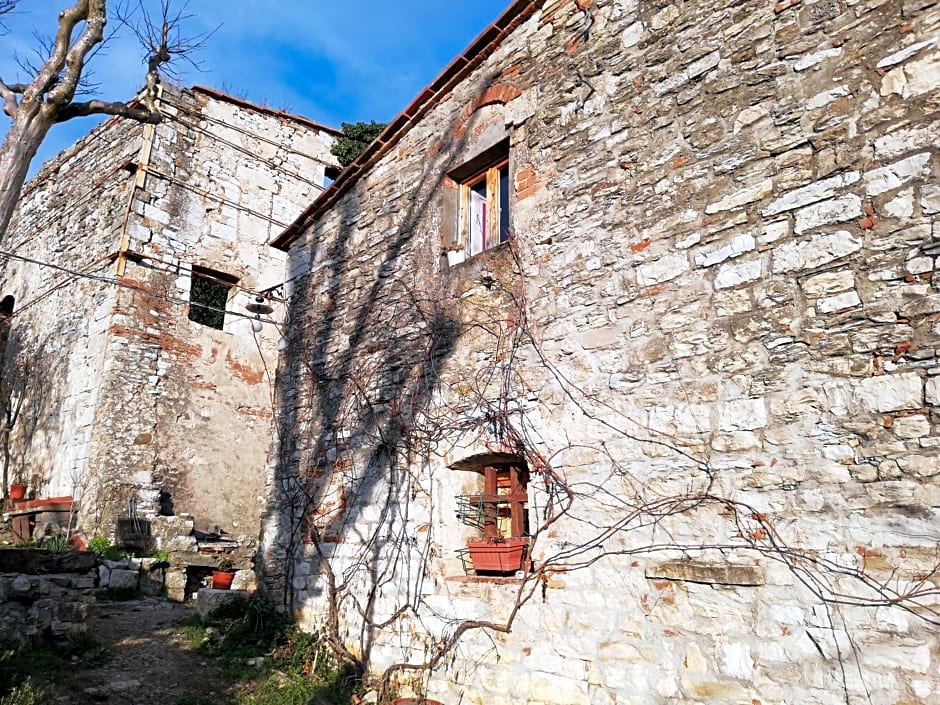 Agriturismo CasaMatta Azienda Agricola