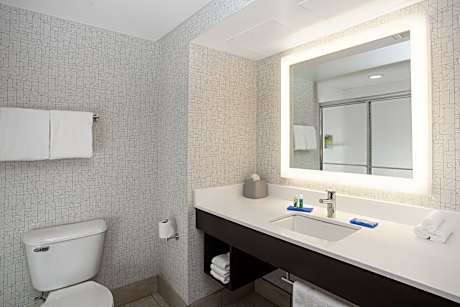 1 King 1 Bedroom Suite