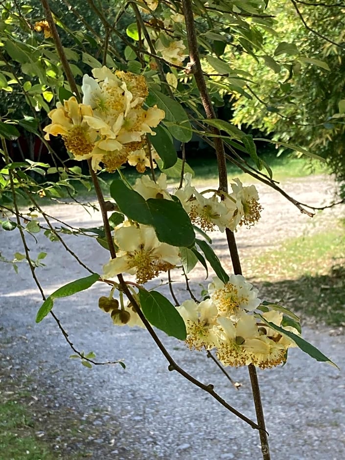 B&B - Chambres d'Hôtes Acoucoula