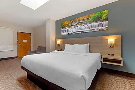 1 King Bed Nonsmoking Accessible