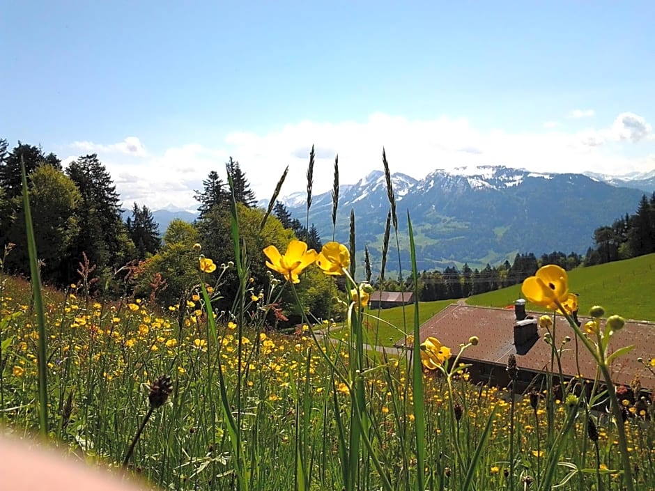 Schedlers Löwenhotel-GARNI