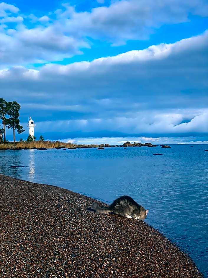 Vergi Sadam & Restoran Wirkes'