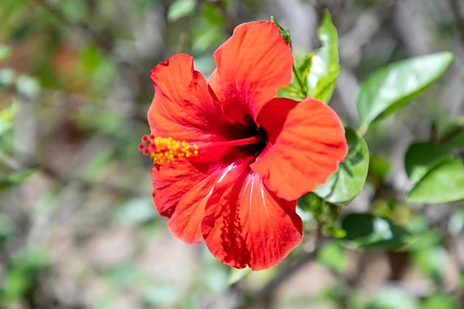 Eco Village Baia Delle Ginestre