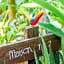 Maison Bacalar
