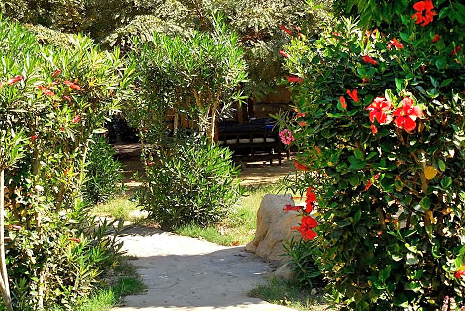 Hotel Sheherazade Luxor