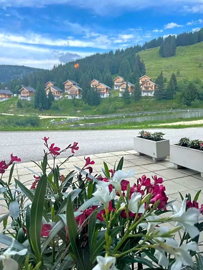 Hotel Koralpe