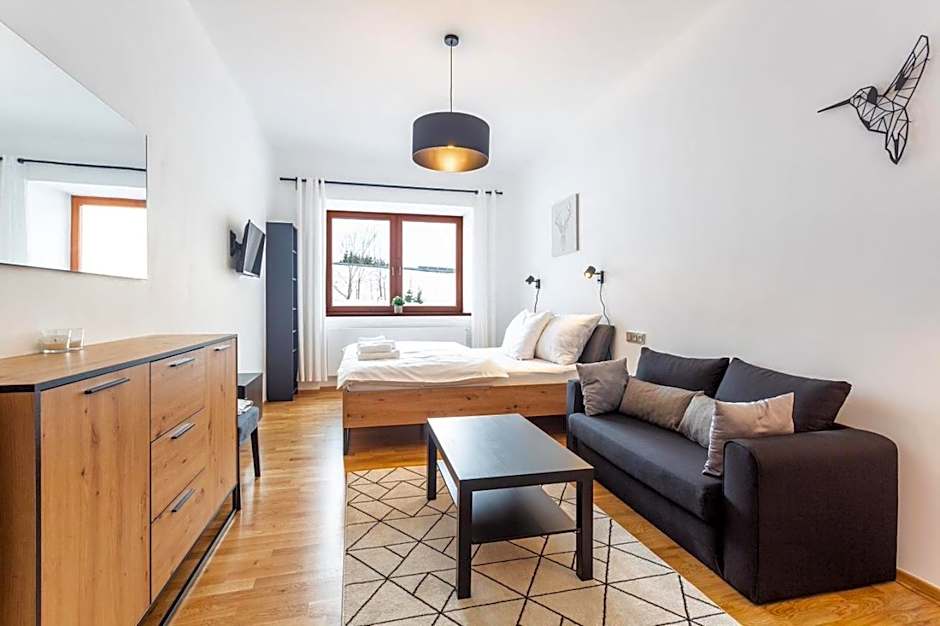 U Pivovaru - Apartments Boží Dar