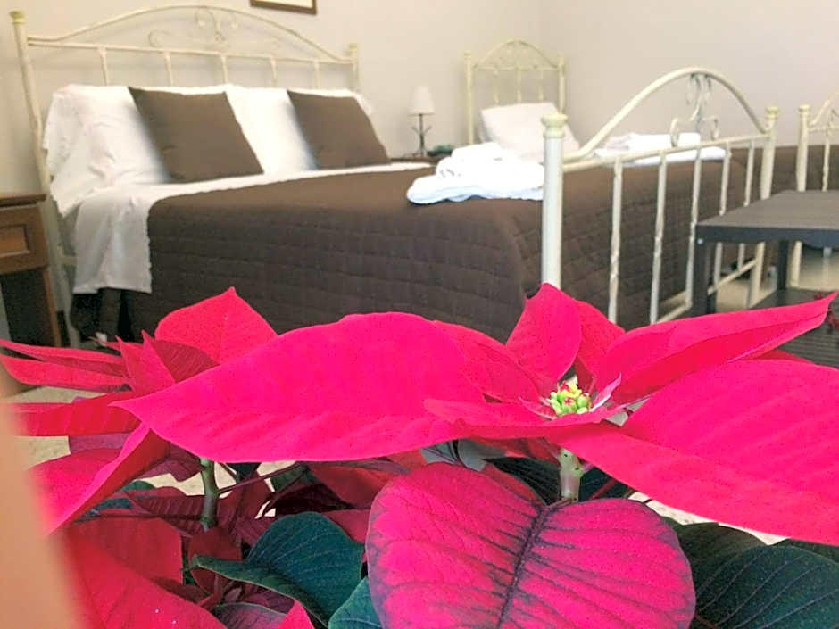 Le Stanze dell'Emiro