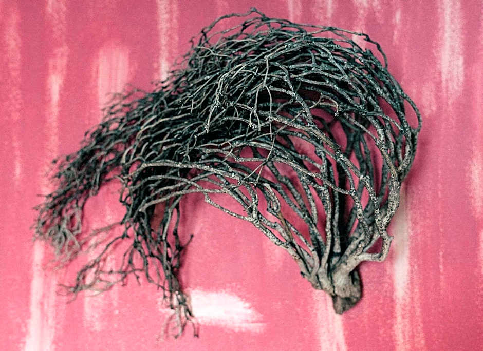 Antares Boutique Guesthouse