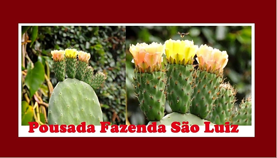 Pousada Fazenda S¿Luiz