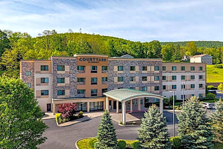 Courtyard by Marriott Oneonta Cooperstown Area