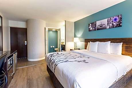 King Room with Gulf View - Non-Smoking