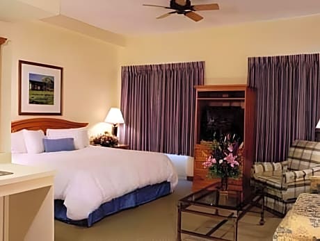 Suite King Bed Non Smoking