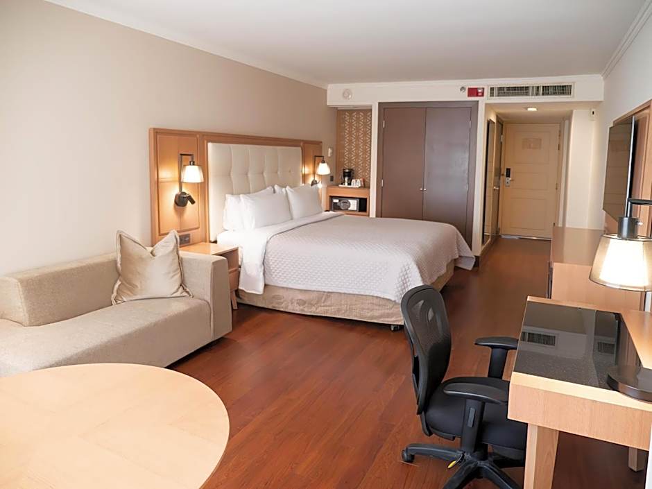 MS Milenium Monterrey, Curio Collection by Hilton