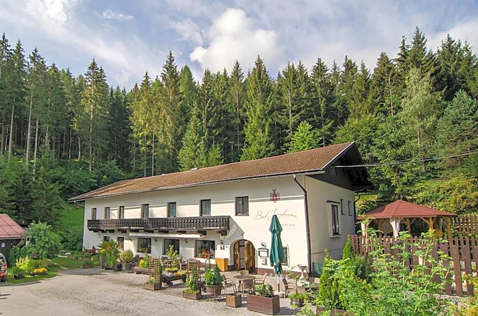 Waldhotel Bad Jungbrunn