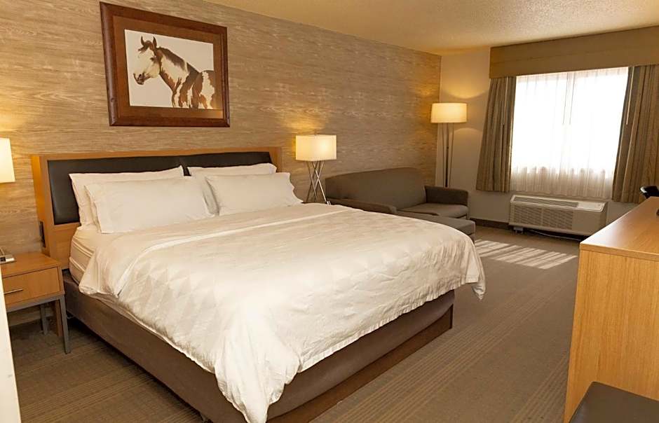 Holiday Inn Spearfish-Convention Center By IHG