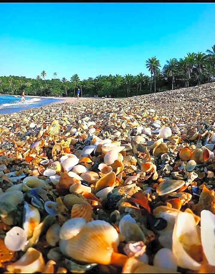 Flat de Irinha Moreré