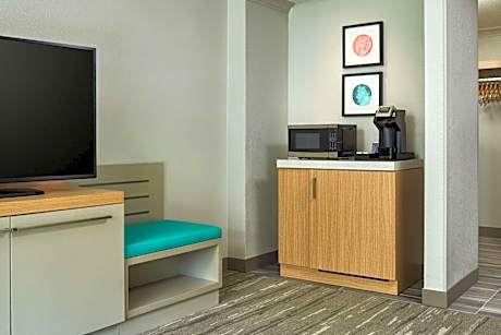 1 King 1 Bedroom Suite With Sofabed