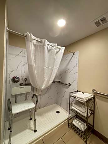 Deluxe King Room with Roll-In Shower - Mobility Accessible/Non-Smoking
