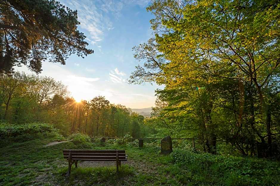 Dorint Venusberg Bonn