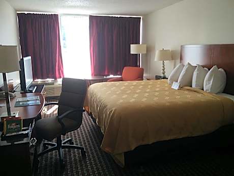 King Room - Non-Smoking