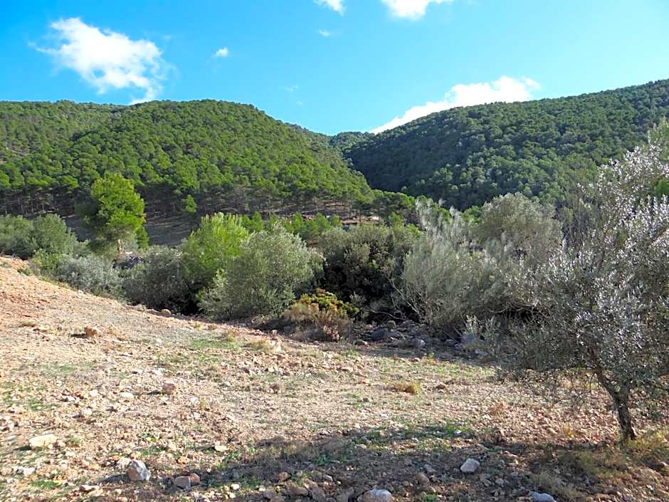 Casa Arts guest rooms