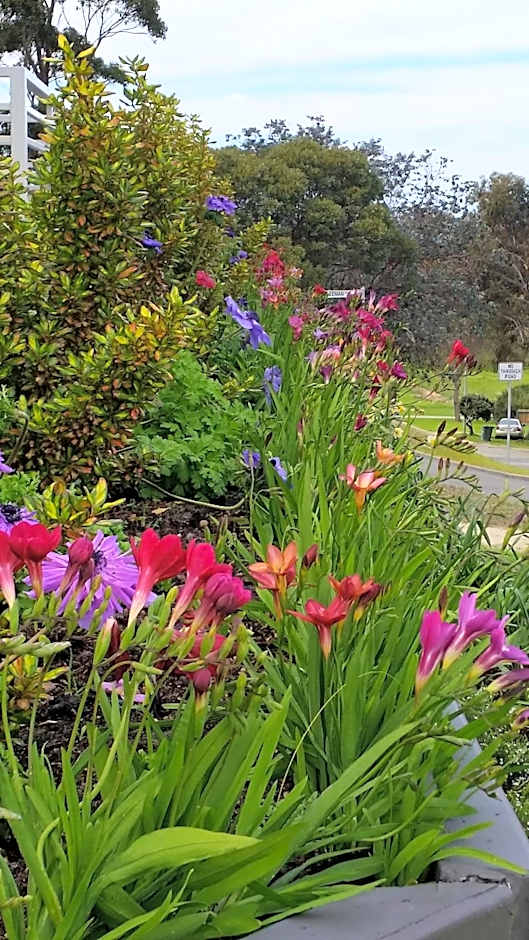 C'est La Vie Bed & Breakfast