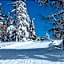 Landgasthof zum Scheiber