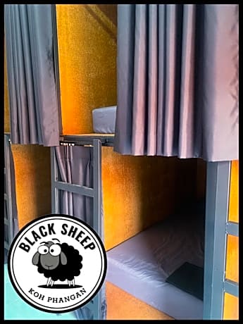 Bunk Bed in Mixed Dormitory Room