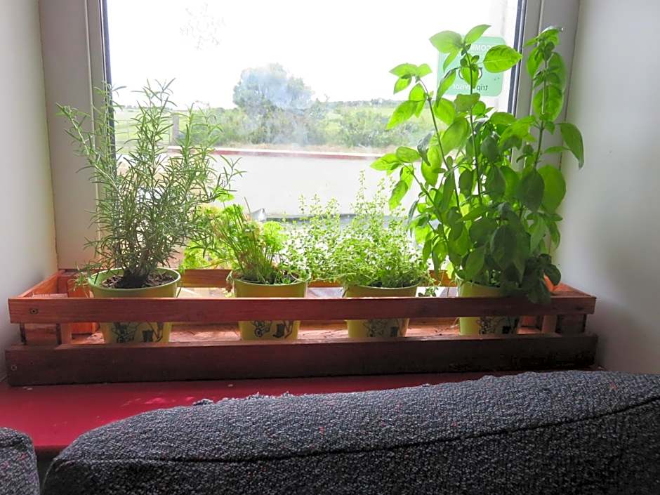 Finn McCools Giants Causeway Hostel