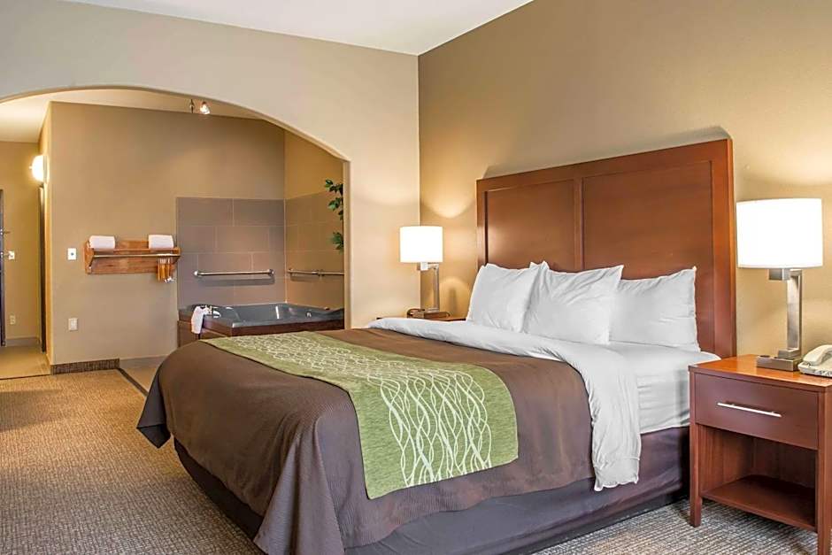 Comfort Inn Edinburg South