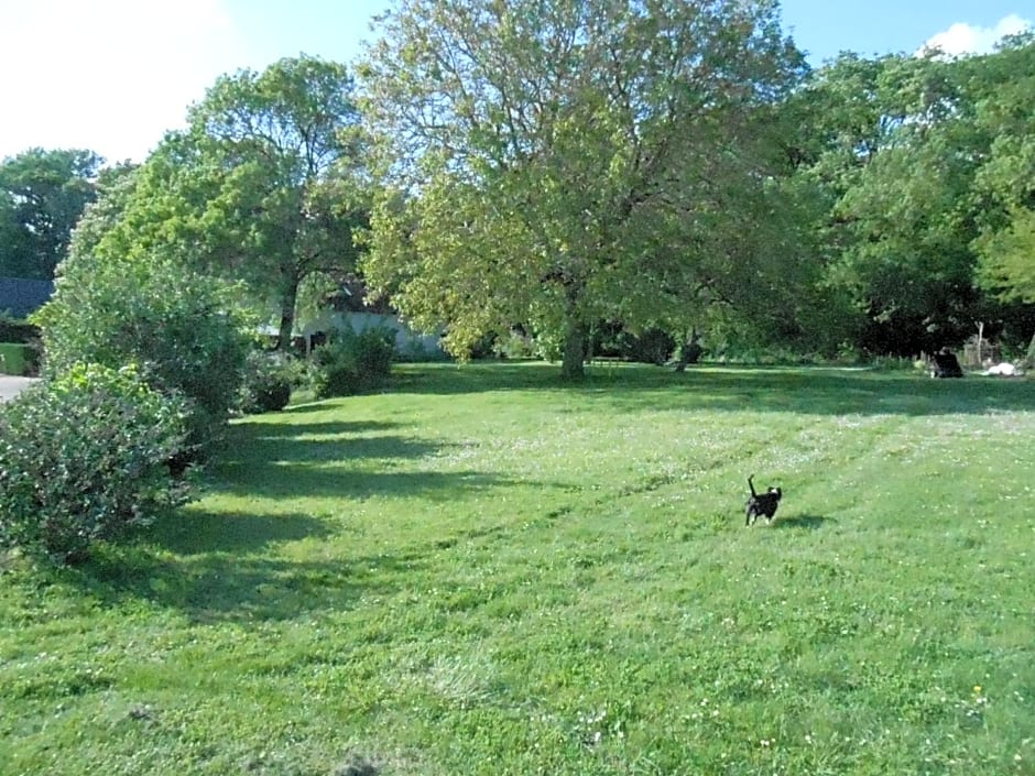 B&B La Ferme des Bordes