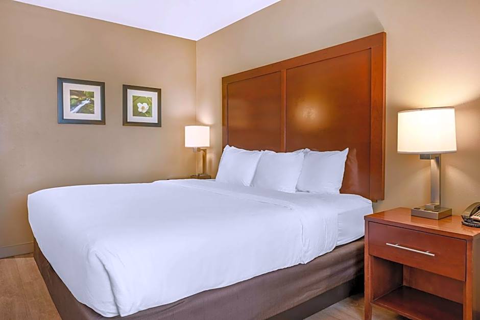 Comfort Inn & Suites At CrossPlex Village