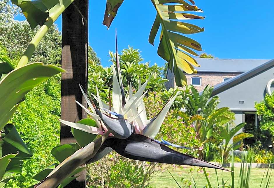 CLEMENT ONE, a villa for family & friends