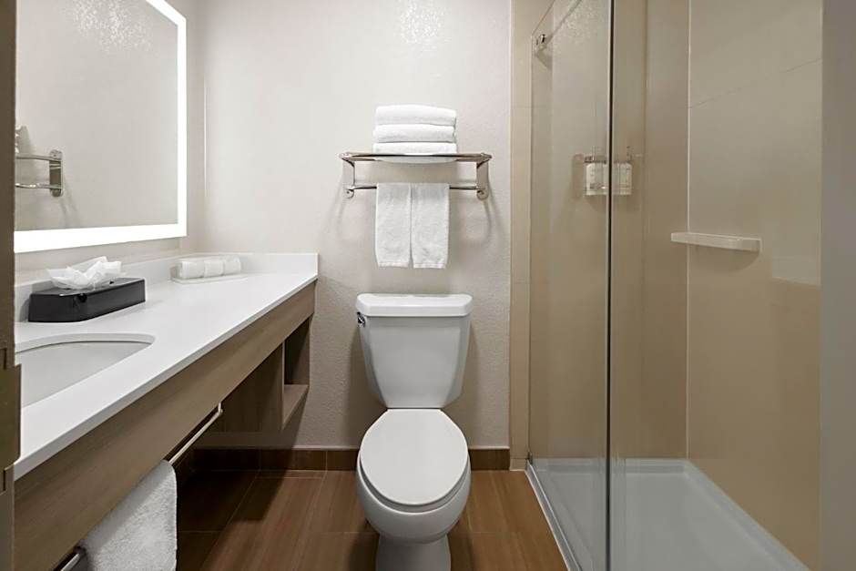 Holiday Inn Express & Suites Wyomissing By IHG