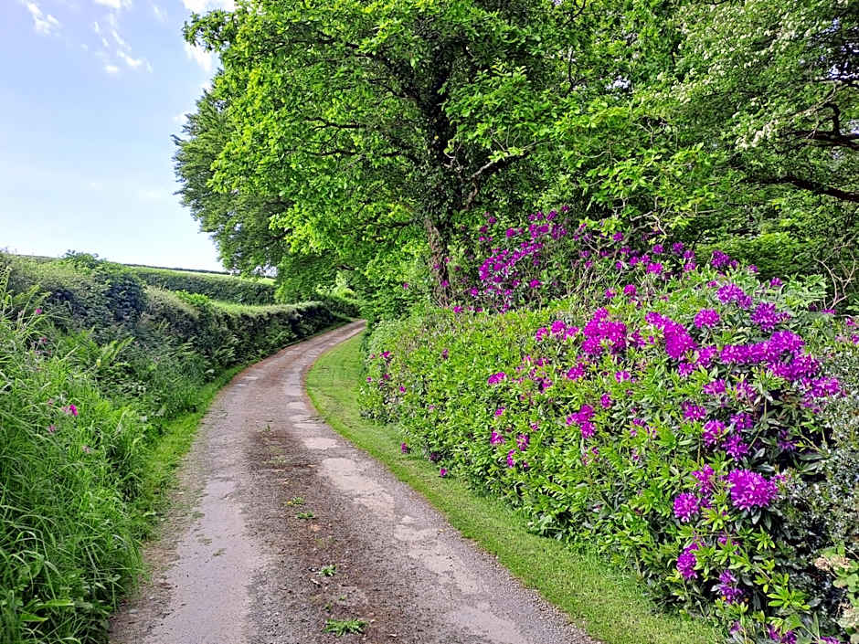 Greenways Valley Holiday Park