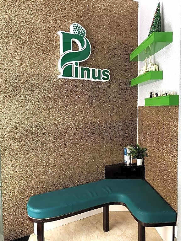 Pinus Hotel